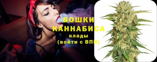 соль ск Богородск