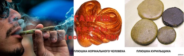 мдпв Богородицк