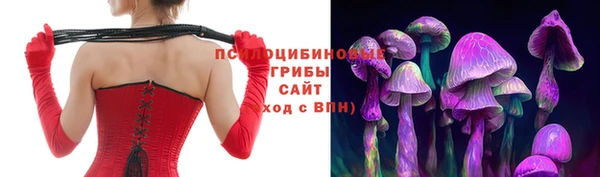 мдпв Богородицк