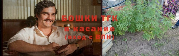 шишки Богданович