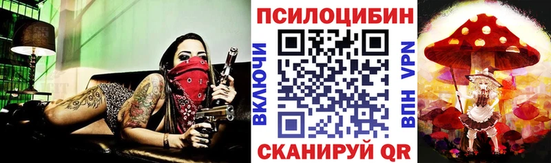 KRAKEN зеркало Городовиковск Галлюциногенные грибы Cubensis нарко площадка клад даркнет сайт