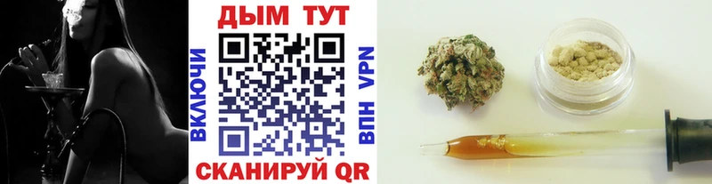 Бошки Шишки конопля  Городовиковск 